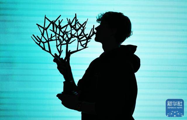 网球丨巴黎大师赛：辛纳夺冠