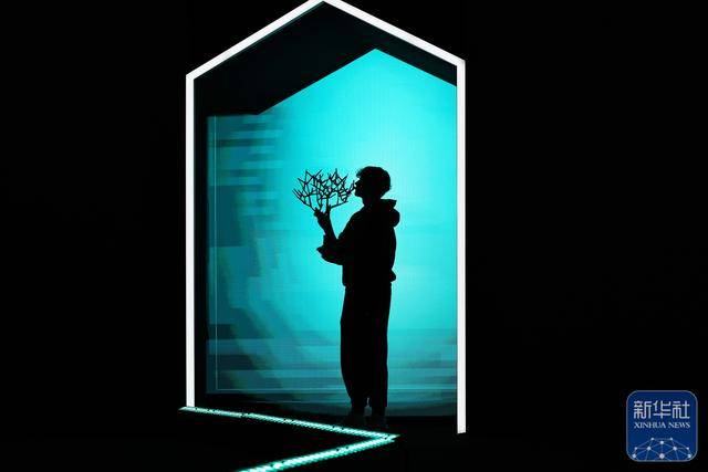 网球丨巴黎大师赛：辛纳夺冠